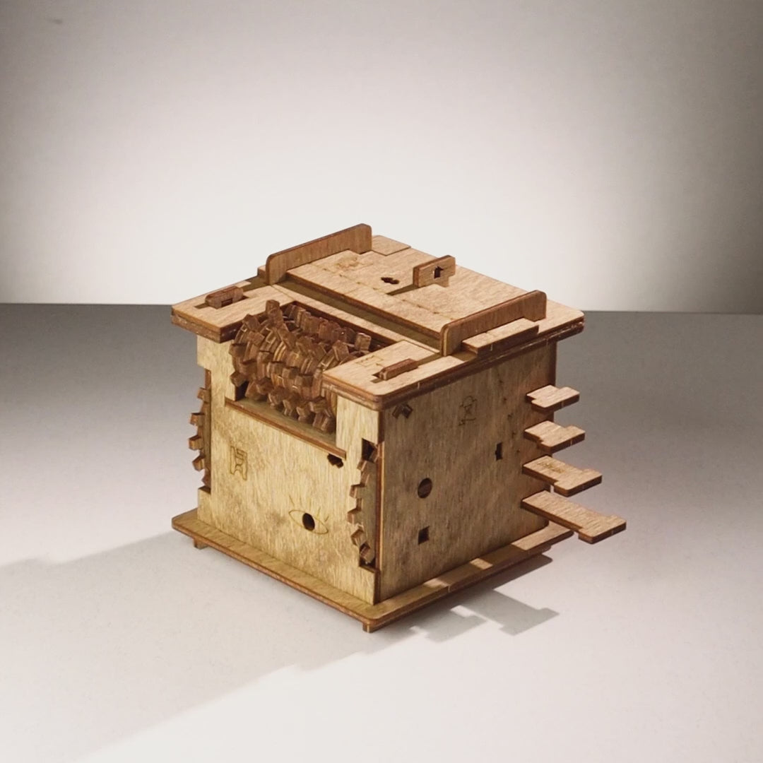 Cluebox 1: Schrödinger’s Cat